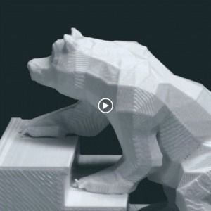 Meet your Posher, Gabby